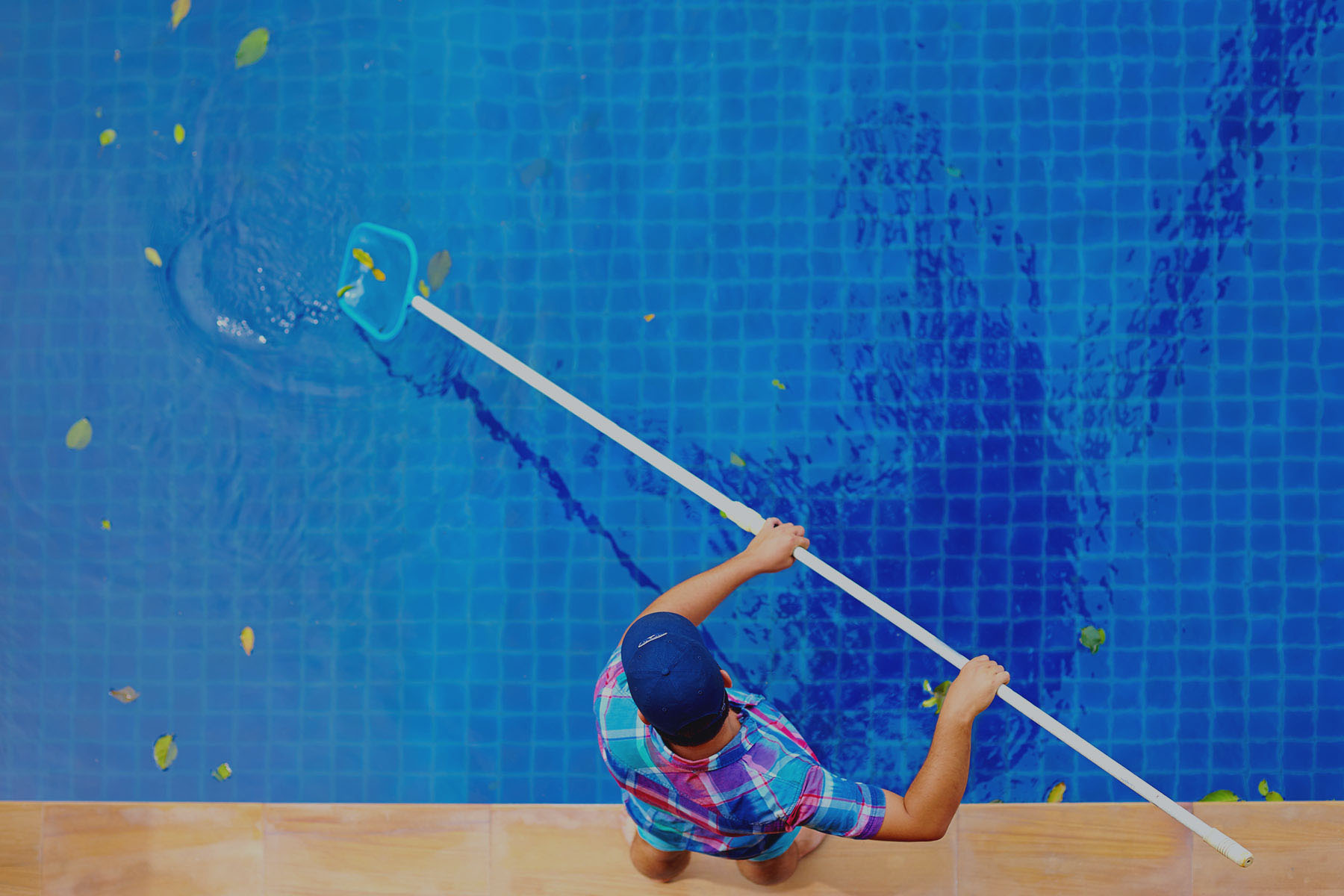 jellypool-slider-img-1-1.jpg